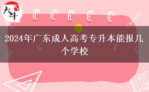 2024年廣東成人高考專(zhuān)升本能報(bào)幾個(gè)學(xué)校