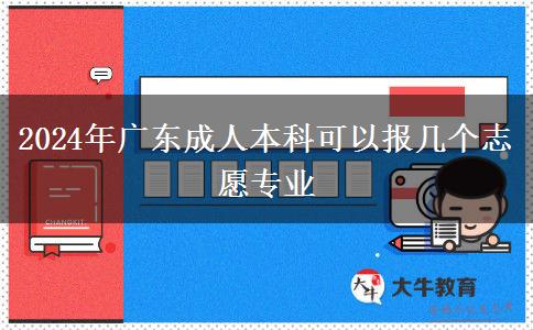 2024年廣東成人本科可以報(bào)幾個(gè)志愿專業(yè)