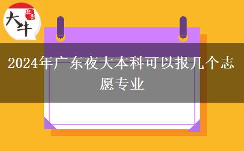 2024年廣東夜大本科可以報(bào)幾個(gè)志愿專業(yè)