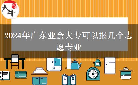 2024年廣東業(yè)余大?？梢詧?bào)幾個(gè)志愿專業(yè)