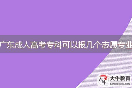 廣東成人高考專科可以報(bào)幾個(gè)志愿專業(yè)