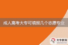 2024年廣東成人高考大專可填報幾個志愿專業(yè)