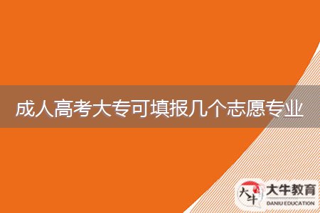 成人高考大?？商顖髱讉€志愿專業(yè)