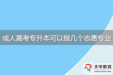 成人高考專升本可以報幾個志愿專業(yè)