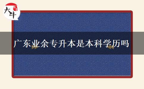 廣東業(yè)余專升本是本科學(xué)歷嗎