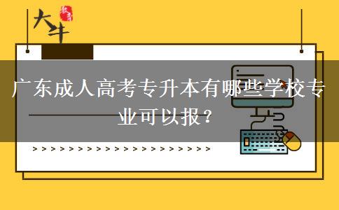 廣東成人高考專升本有哪些學(xué)校專業(yè)可以報(bào)？