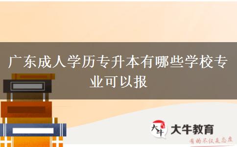 廣東成人學(xué)歷專升本有哪些學(xué)校專業(yè)可以報(bào)