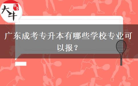 廣東成考專升本有哪些學(xué)校專業(yè)可以報(bào)？