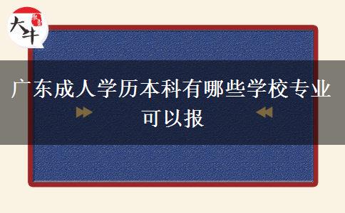 廣東成人學(xué)歷本科有哪些學(xué)校專(zhuān)業(yè)可以報(bào)