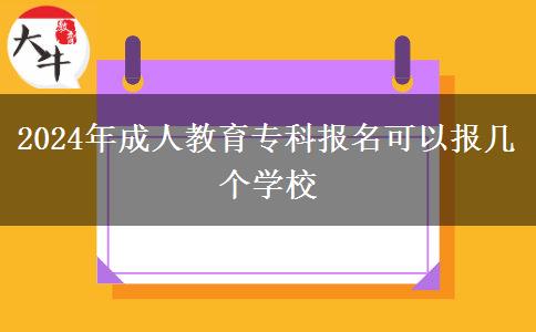 2024年成人教育?？茍竺梢詧髱讉€學校