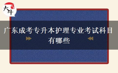 廣東成考專(zhuān)升本護(hù)理專(zhuān)業(yè)考試科目有哪些