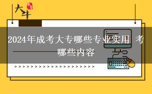 2024年成考大專哪些專業(yè)實用 考哪些內(nèi)容