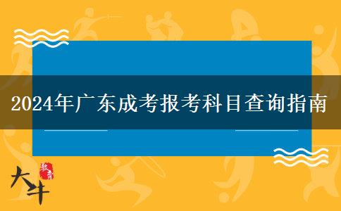 2024年廣東成考報考科目查詢指南