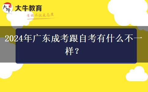 2024年廣東成考跟自考有什么不一樣？