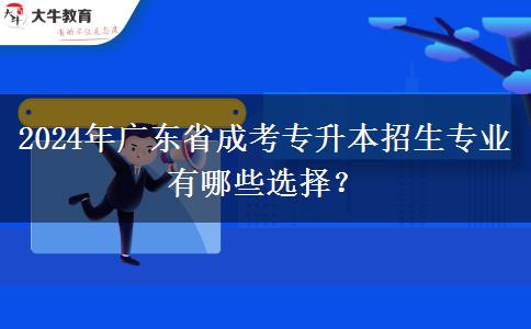 2024年廣東省成考專升本招生專業(yè)有哪些選擇？