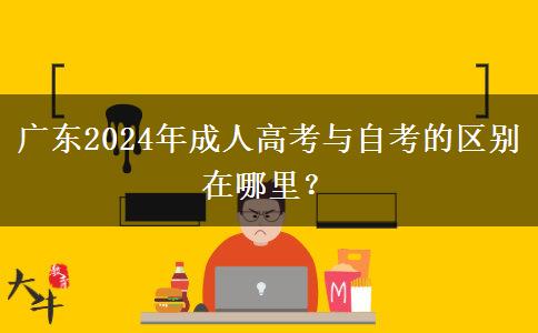 廣東2024年成人高考與自考的區(qū)別在哪里？