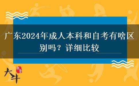 廣東2024年成人本科和自考有啥區(qū)別嗎？詳細比較