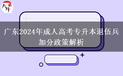 廣東2024年成人高考專升本退伍兵加分政策解析