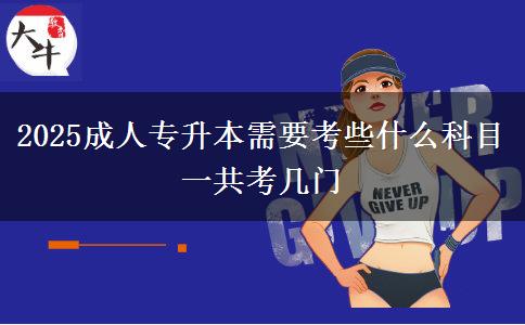 2025成人專升本需要考些什么科目 一共考幾門(mén)