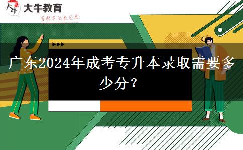 廣東2024年成考專升本錄取需要多少分？