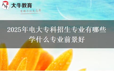 2025年電大?？普猩鷮I(yè)有哪些 學(xué)什么專業(yè)前景好