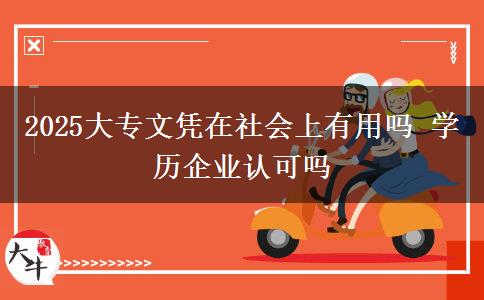 2025大專文憑在社會上有用嗎 學(xué)歷企業(yè)認可嗎