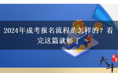 2024年成考報名流程是怎樣的？看完這篇就夠了