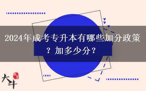 2024年成考專升本有哪些加分政策？加多少分？