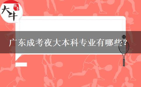 廣東成考夜大本科專業(yè)有哪些？