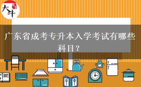 廣東省成考專(zhuān)升本入學(xué)考試有哪些科目？