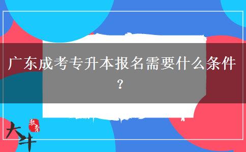 廣東成考專升本報(bào)名需要什么條件？