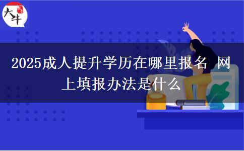 2025成人提升學(xué)歷在哪里報名 網(wǎng)上填報辦法是什么