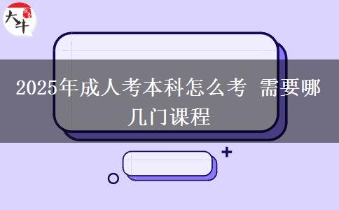2025年成人考本科怎么考 需要哪幾門(mén)課程