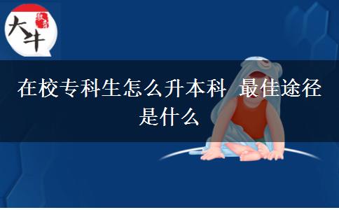 在校專科生怎么升本科 最佳途徑是什么