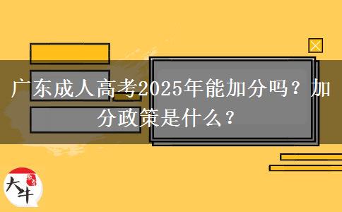 廣東成人高考2025年能加分嗎？加分政策是什么？