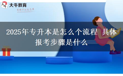 2025年專升本是怎么個流程 具體報考步驟是什么