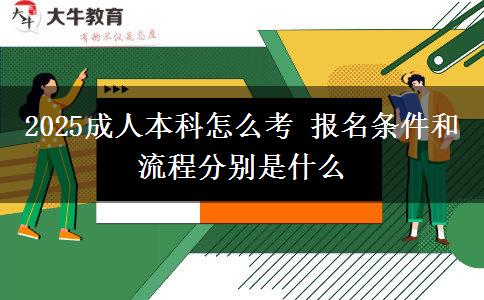 2025成人本科怎么考 報(bào)名條件和流程分別是什么