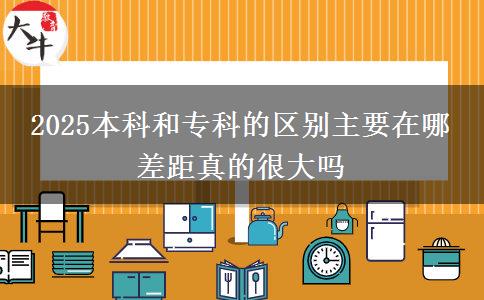 2025本科和專科的區(qū)別主要在哪 差距真的很大嗎
