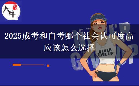 2025成考和自考哪個社會認(rèn)可度高 應(yīng)該怎么選擇