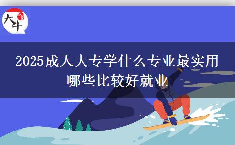 2025成人大專(zhuān)學(xué)什么專(zhuān)業(yè)最實(shí)用 哪些比較好就業(yè)