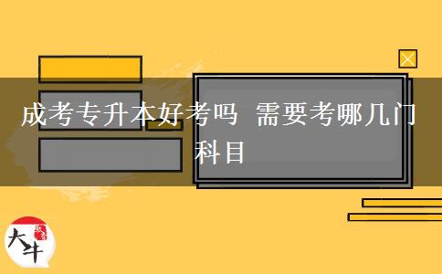 成考專升本好考嗎 需要考哪幾門(mén)科目