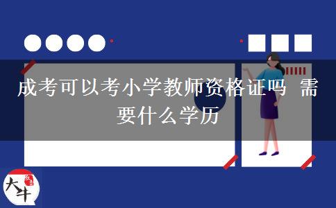 成考可以考小學教師資格證嗎 需要什么學歷