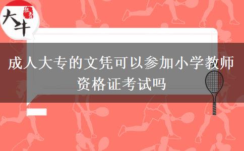 成人大專的文憑可以參加小學教師資格證考試嗎