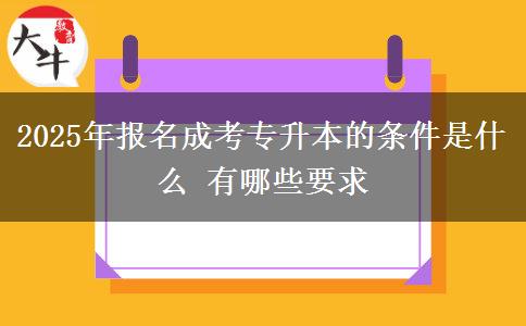 2025年報(bào)名成考專(zhuān)升本的條件是什么 有哪些要求