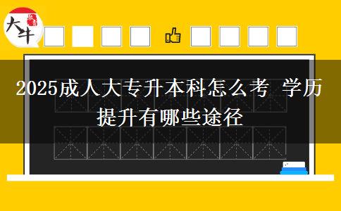 2025成人大專升本科怎么考 學歷提升有哪些途徑
