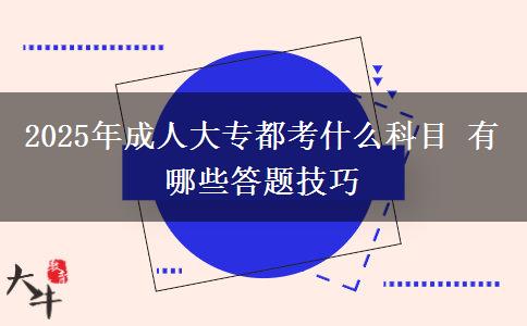 2025年成人大專(zhuān)都考什么科目 有哪些答題技巧