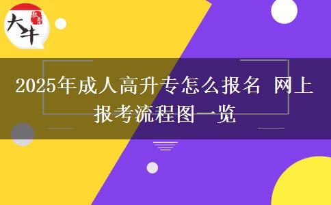 2025年成人高升專(zhuān)怎么報(bào)名 網(wǎng)上報(bào)考流程圖一覽