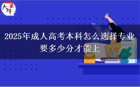 2025年成人高考本科怎么選擇專業(yè) 要多少分才能上