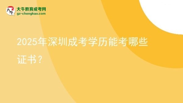 2025年深圳成考學歷能考哪些證書？圖片
